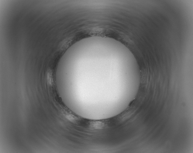 X0000062150287200512231540
