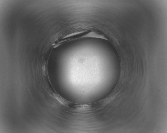 X0000062150288200512231540