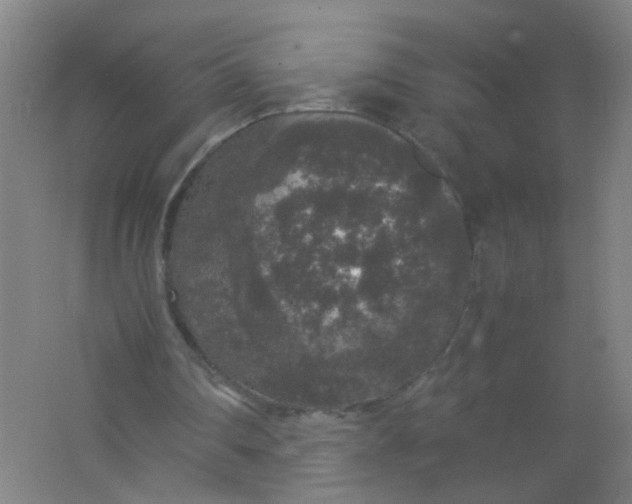 X0000062150290200512231540