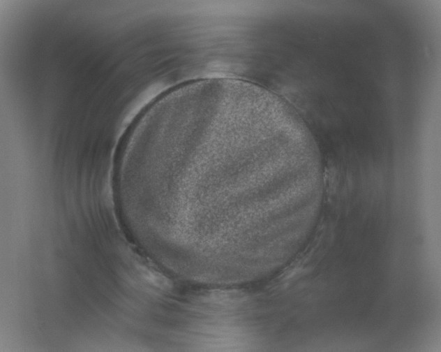 X0000062150292200512231540