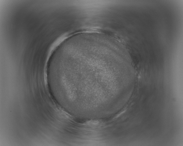 X0000062150294200512231540