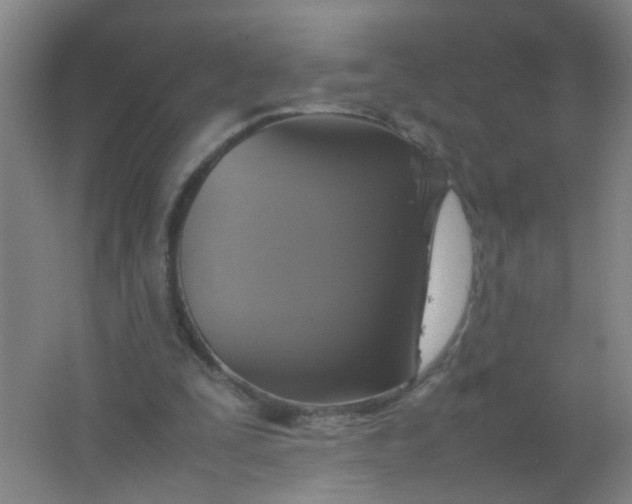 X0000062150295200512231540