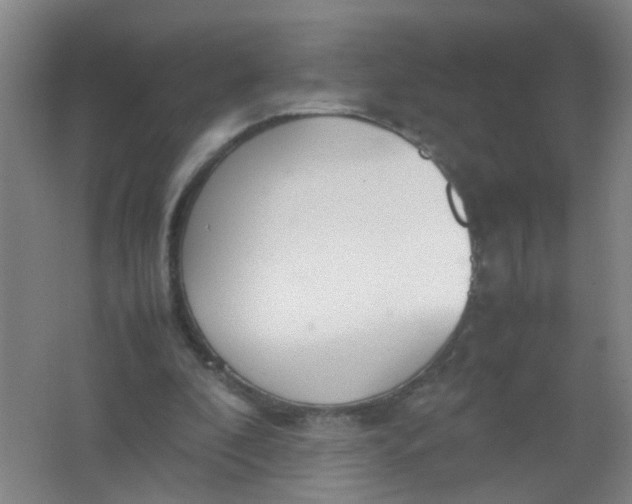X0000062150296200512231539
