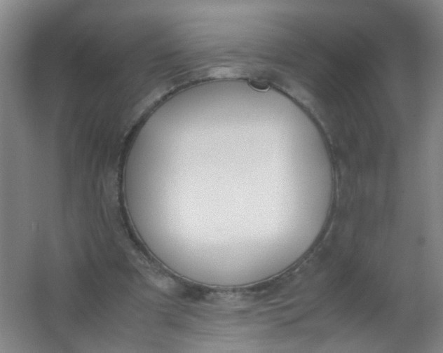 X0000062150297200512231539
