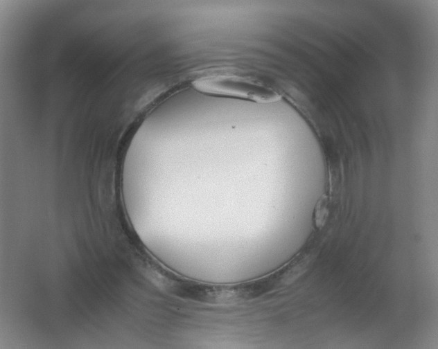 X0000062150301200512231539