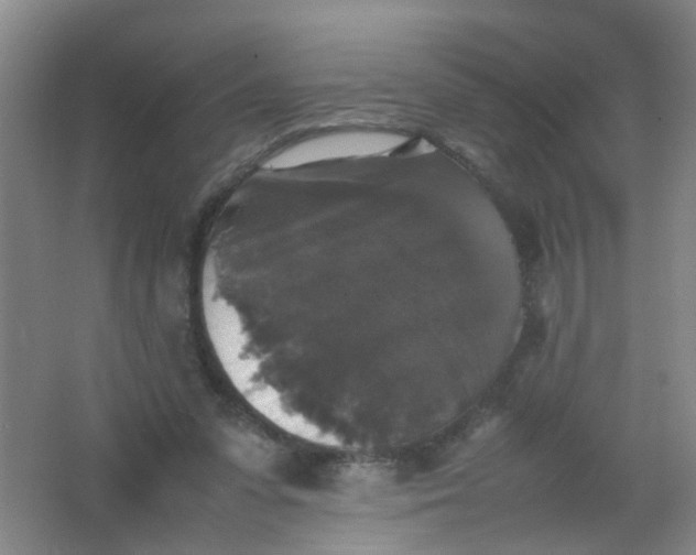 X0000062150303200512231539