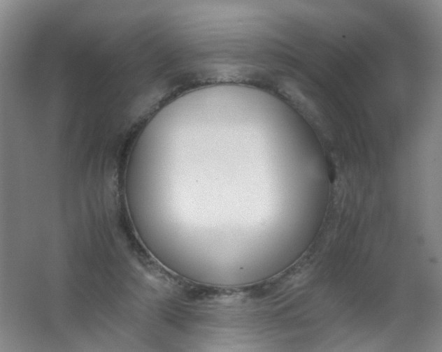 X0000062150306200512231539