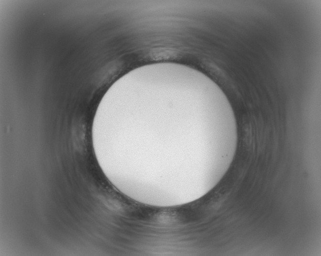 X0000062150308200512231539