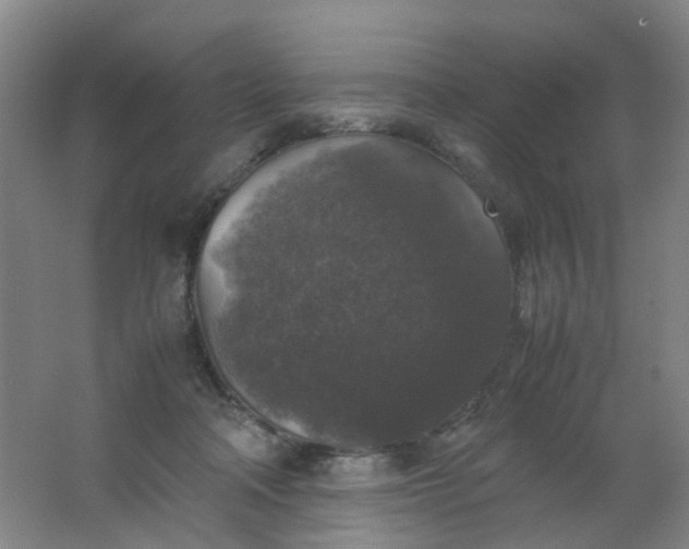 X0000062150314200512231539
