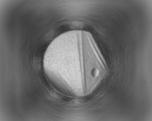 X0000062150323200512231539