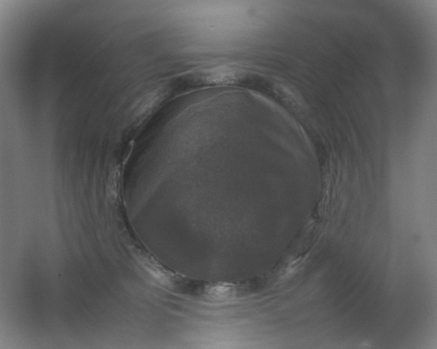 X0000062150325200512231539