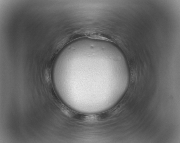 X0000062150335200512231539
