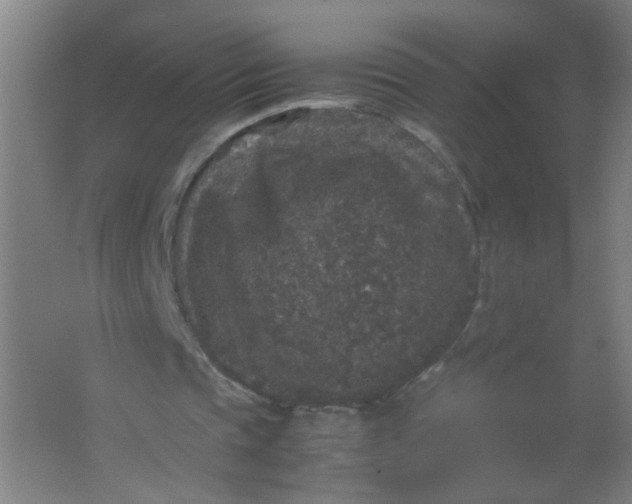 X0000062150337200512231538