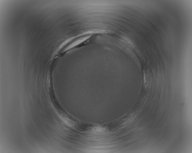 X0000062150348200512231538
