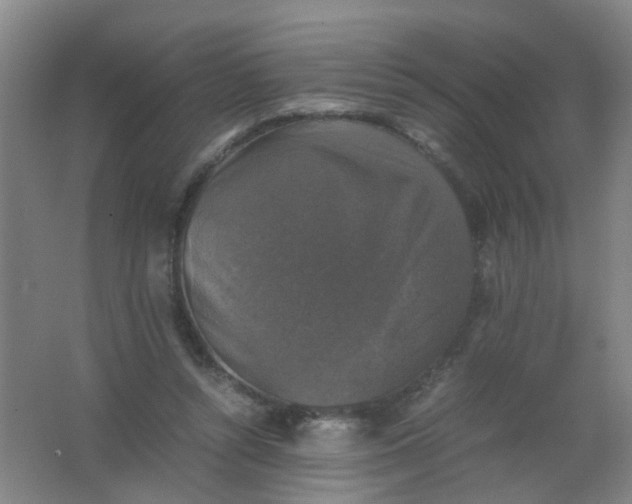 X0000062150352200512231538