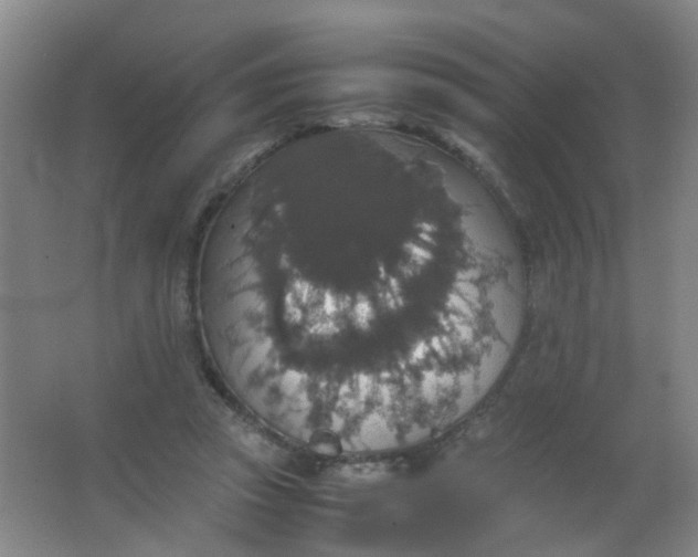X0000062150353200512231538