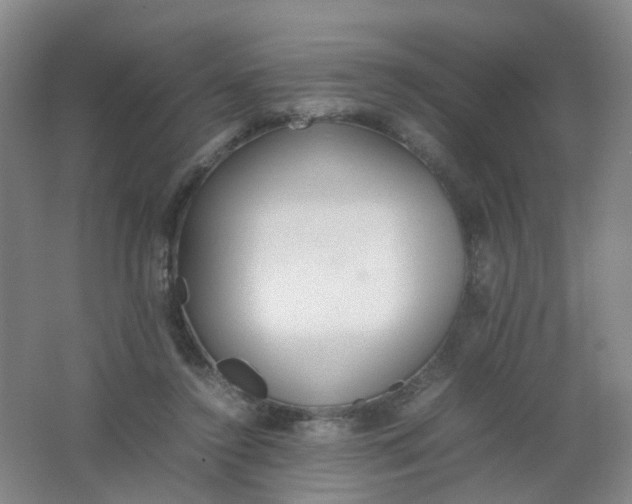 X0000062150356200512231538