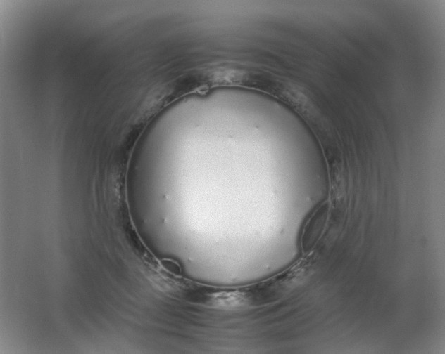 X0000062150363200512231538