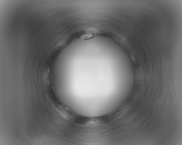 X0000062150364200512231538