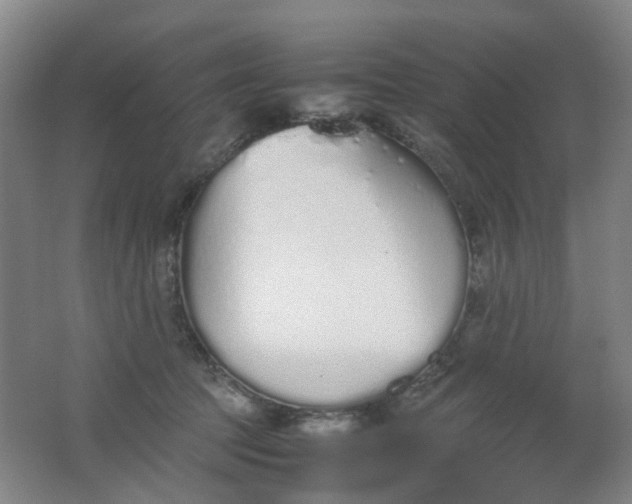 X0000062150369200512231539