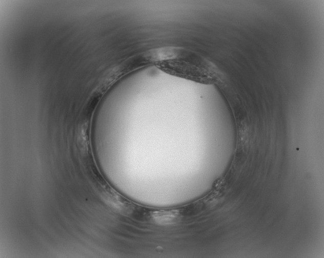 X0000062150373200512231539