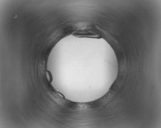 X0000062150376200512231539