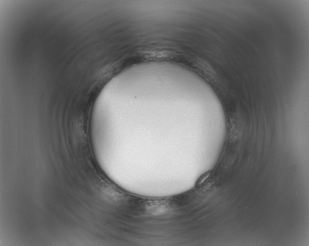 X0000062150377200512231539