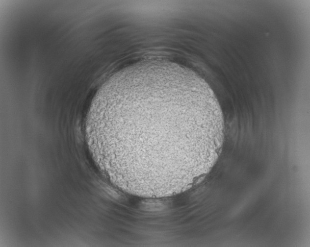 X0000062150381200512231539