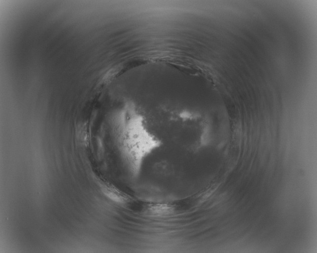 X0000062150383200512231539