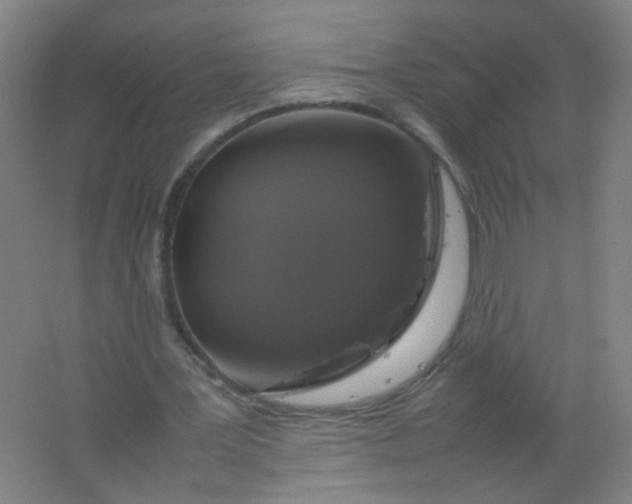 X0000062150387200512231538