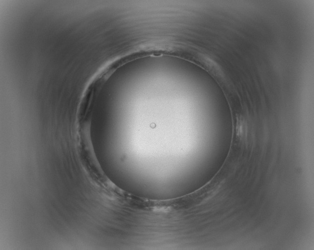 X0000062150388200512231538