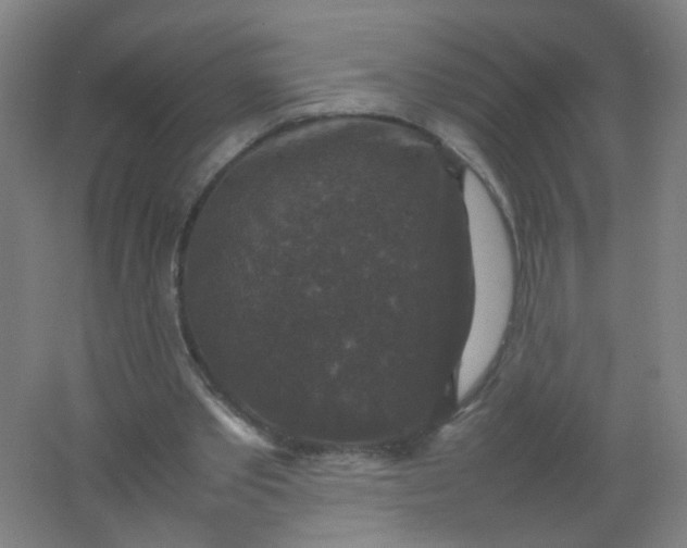X0000062150389200512231538