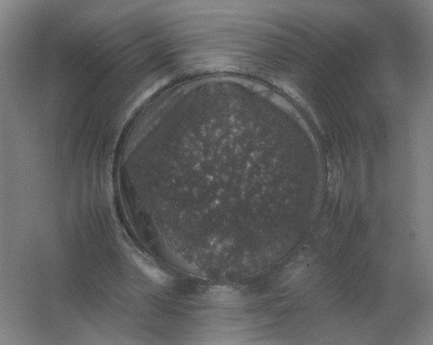 X0000062150390200512231538