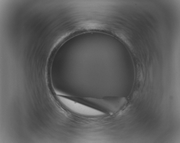 X0000062150391200512231538