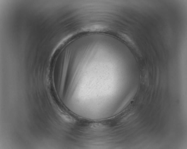 X0000062150392200512231538