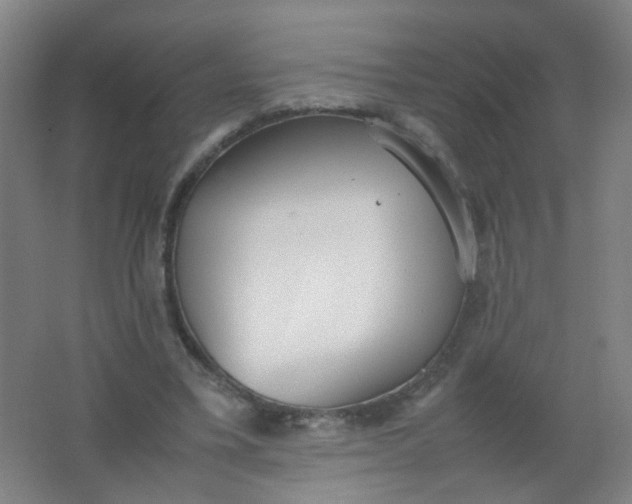 X0000062150395200512231538