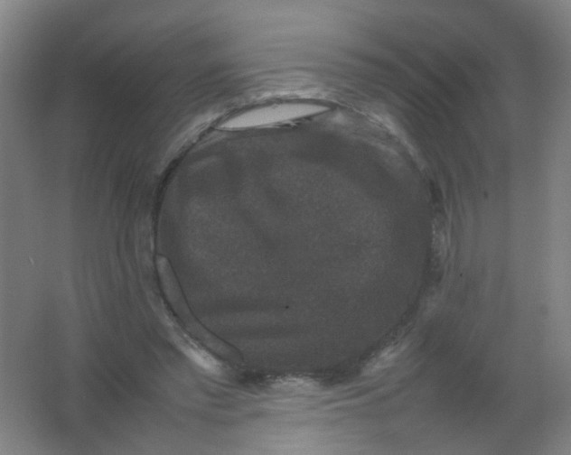 X0000062150397200512231538
