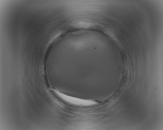 X0000062150399200512231538