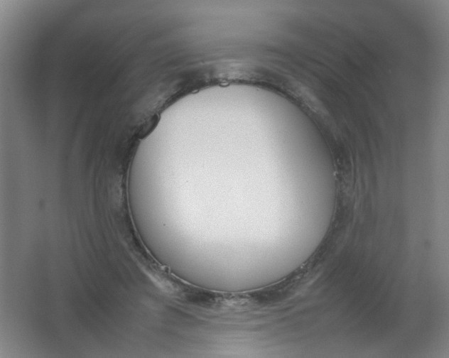 X0000062150401200512231538