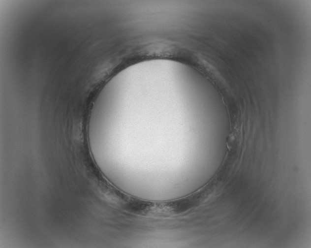 X0000062150403200512231538