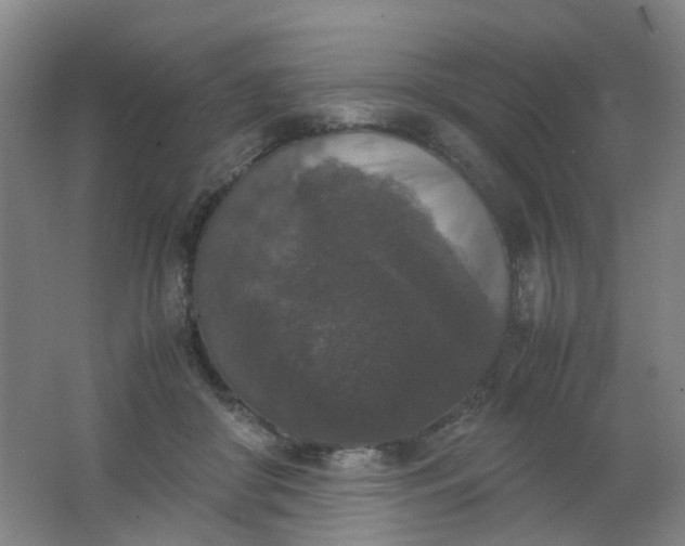 X0000062150410200512231538