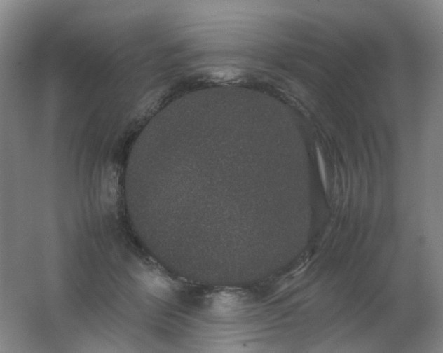 X0000062150412200512231537