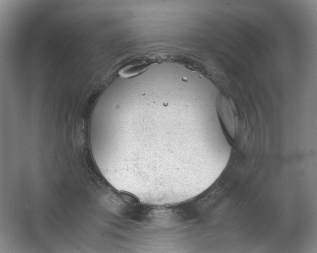 X0000062150413200512231537