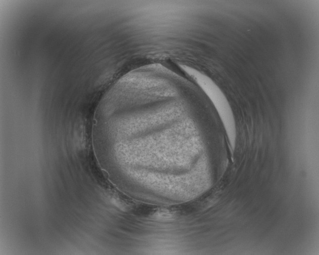 X0000062150416200512231537