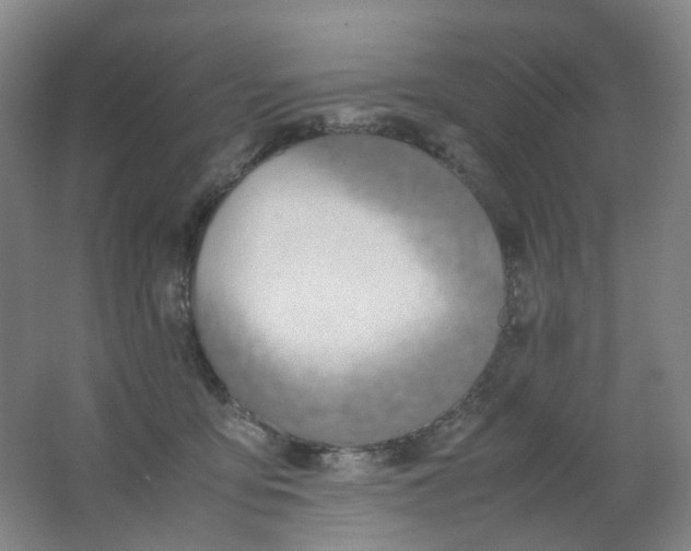 X0000062150419200512231537