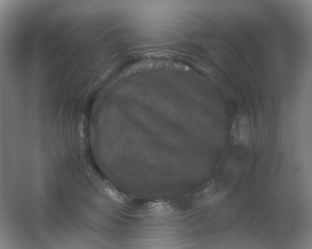 X0000062150424200512231537