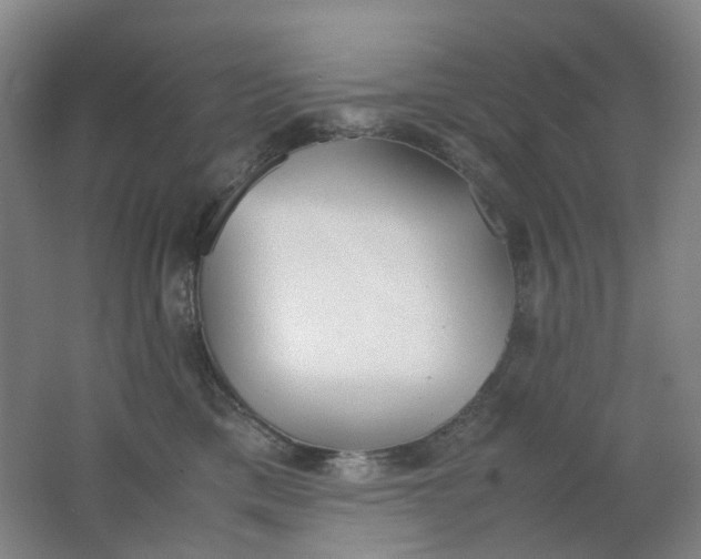 X0000062150425200512231537