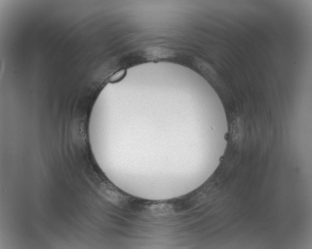 X0000062150426200512231537