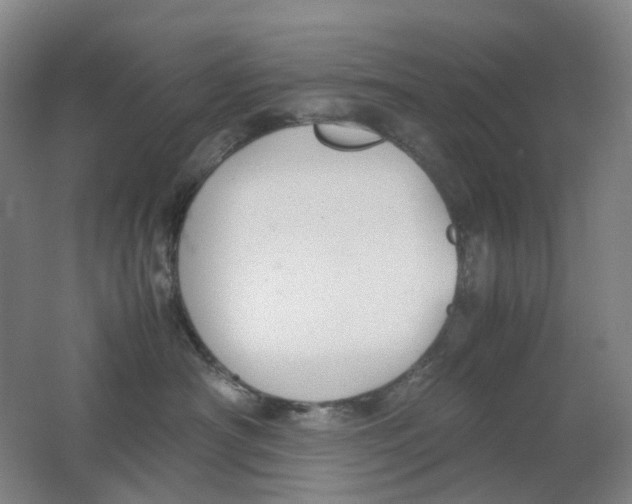X0000062150430200512231537