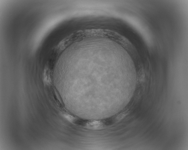 X0000062150431200512231537